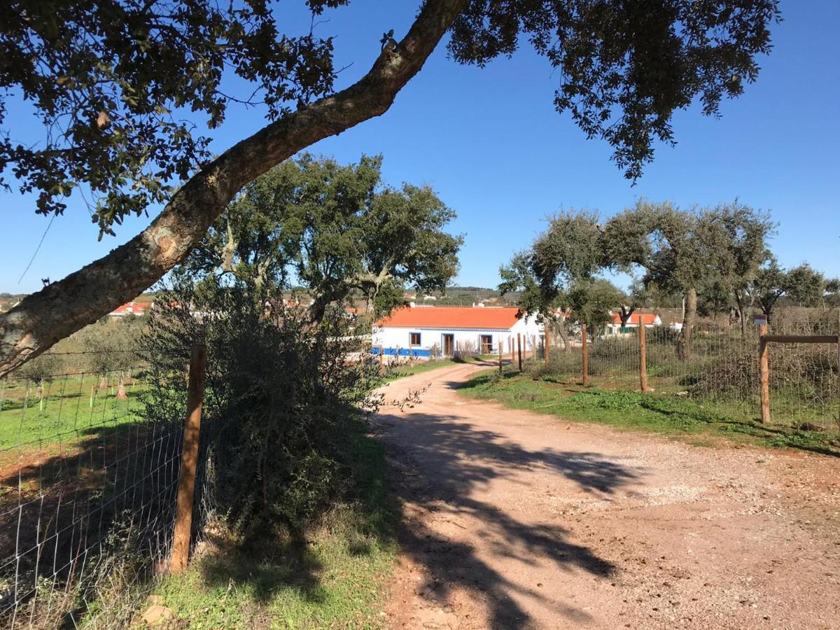 Herdade Da Maridona - Agroturismo Estremoz Εξωτερικό φωτογραφία